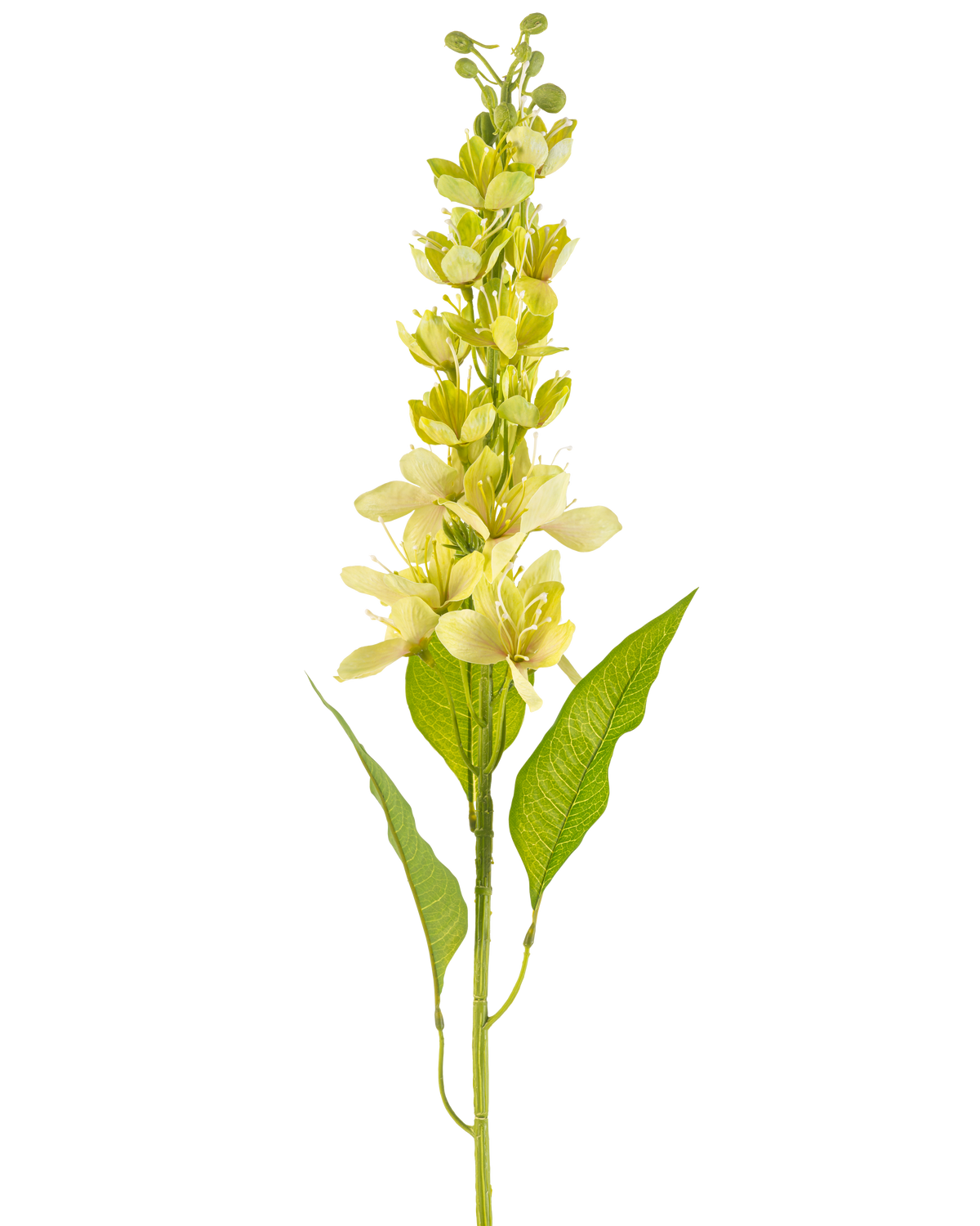 Die Kunstblume Asiatischer Apfel 84 cm grün hat einen einzelnen hohen Stiel mit mehreren hellgelben Blüten und länglichen grünen Blättern, dargestellt vor einem weißen Hintergrund.