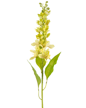 Die Kunstblume Asiatischer Apfel 84 cm grün hat einen einzelnen hohen Stiel mit mehreren hellgelben Blüten und länglichen grünen Blättern, dargestellt vor einem weißen Hintergrund.
