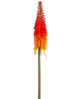 Die künstliche Fackellilie 80 cm orange hat eine hohe künstliche Blume mit einem langen grünen Stiel und einer kegelförmigen Gruppe orangefarbener Blütenblätter vor einem schlichten weißen Hintergrund.