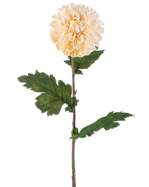 Die künstliche Blumen-Dahlie 75 cm creme hat einen einzelnen Stiel mit einer großen, runden cremefarbenen Dahlienblüte und mehreren grünen, gezackten Blättern auf weißem Hintergrund.