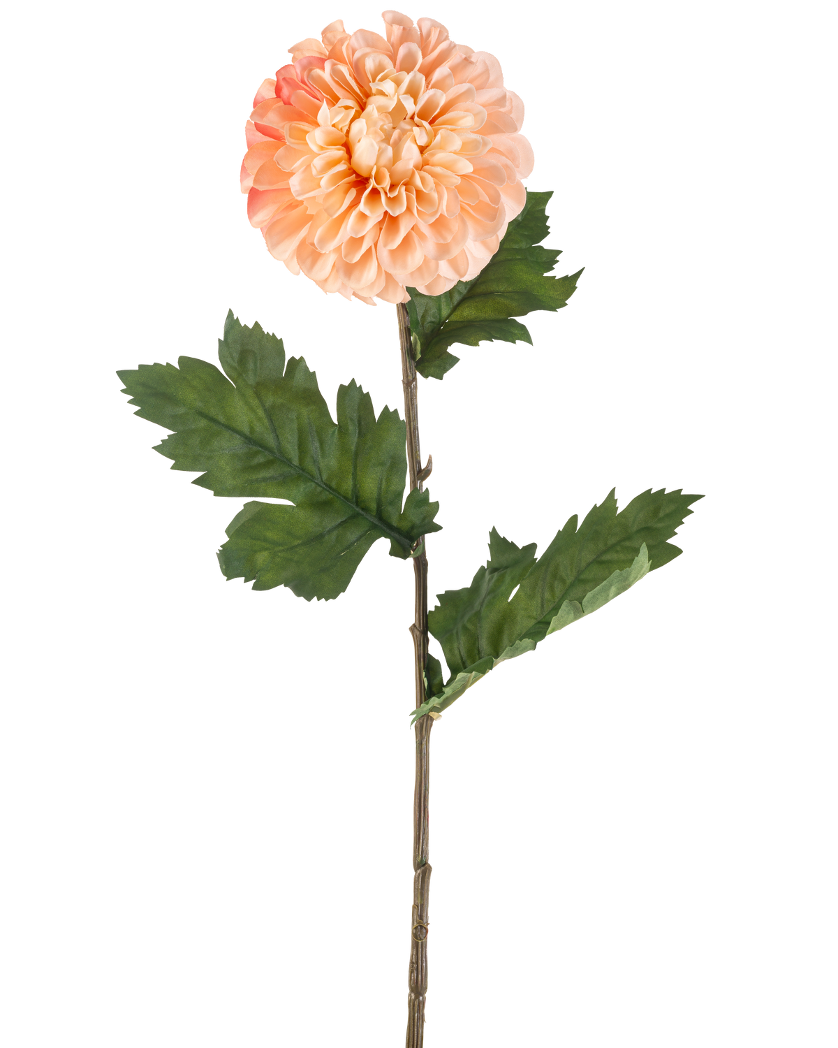 Die künstliche Blumen-Dahlie 75 cm Pfirsich hat eine pfirsichfarbene Dahlie mit geschichteten Blütenblättern und drei Büscheln gezackter grüner Blätter an einem langen Stiel, dargestellt vor einem weißen Hintergrund.