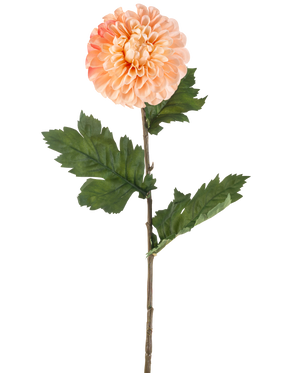 Die künstliche Blumen-Dahlie 75 cm Pfirsich hat eine pfirsichfarbene Dahlie mit geschichteten Blütenblättern und drei Büscheln gezackter grüner Blätter an einem langen Stiel, dargestellt vor einem weißen Hintergrund.