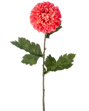 Die künstliche Blumen-Dahlie 75 cm rot ist eine einzelne künstliche rote Dahlienblume mit geschichteten Blütenblättern und mehreren grünen Blättern an einem langen grünen Stiel, isoliert auf einem weißen Hintergrund.