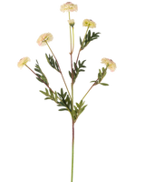 Die künstliche Blumen-Pompon-Chrysantheme 69 cm creme/rosa hat einen einzelnen Stiel mit mehreren cremefarbenen, gänseblümchenartigen Blüten und grünen, farnförmigen Blättern vor einem schlichten weißen Hintergrund.