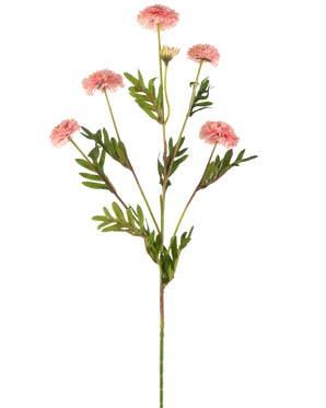 Die künstliche Blumen-Pompon-Chrysantheme 69 cm rosa hat einen einzelnen Stiel mit mehreren hellrosa, runden Pompon-Blüten und grünen, farnartigen Blättern auf weißem Hintergrund.