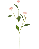 Die Kunstblume Sommerstern 57 cm rosa hat einen langen grünen Stiel mit drei rosa gänseblümchenähnlichen Blüten und mehreren grünen Blättern vor einem schlichten weißen Hintergrund.