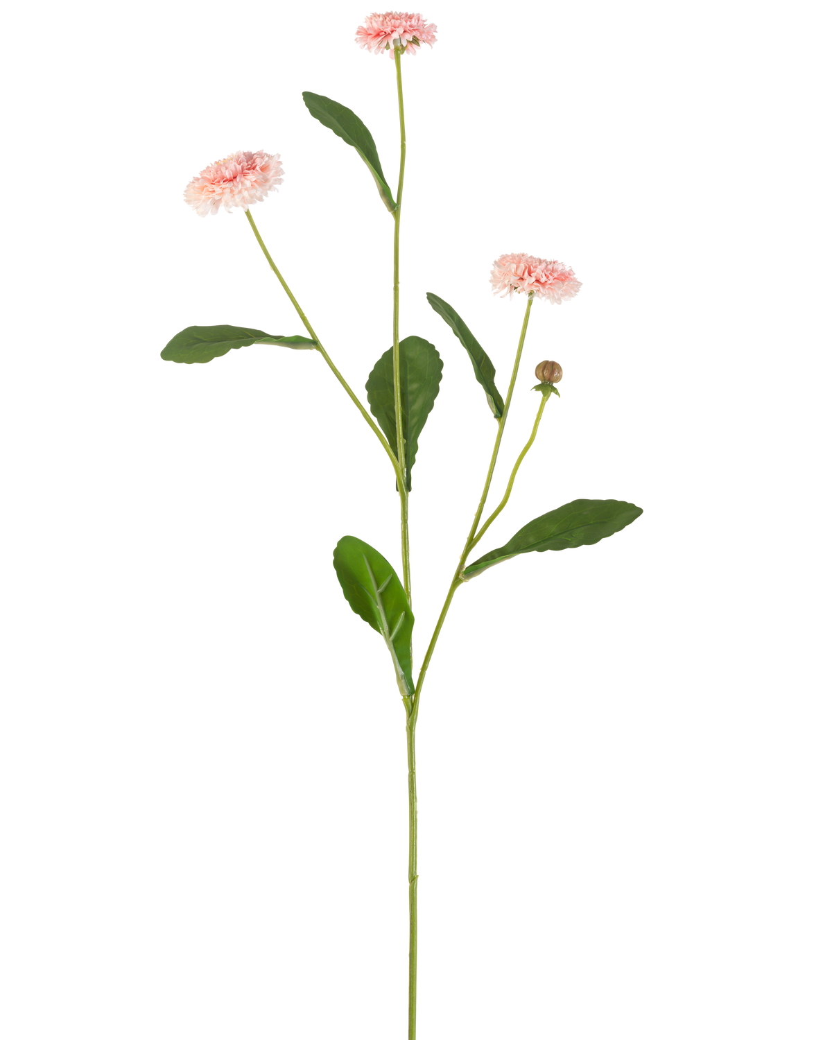 Die Kunstblume Sommerstern 57 cm rosa hat einen langen grünen Stiel mit drei rosa gänseblümchenähnlichen Blüten und mehreren grünen Blättern vor einem schlichten weißen Hintergrund.