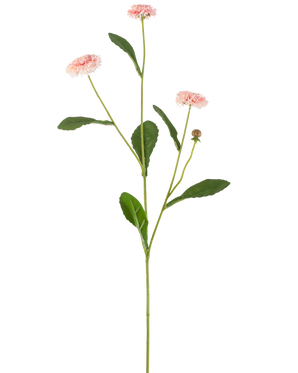 Die Kunstblume Sommerstern 57 cm rosa hat einen langen grünen Stiel mit drei rosa gänseblümchenähnlichen Blüten und mehreren grünen Blättern vor einem schlichten weißen Hintergrund.