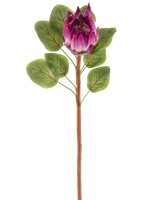 Die künstliche Blume Protea 65 cm lila besteht aus einer einzelnen künstlichen lila Protea-Blume mit grünen Blättern und einem langen braunen Stiel vor einem weißen Hintergrund.