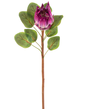 Die künstliche Blume Protea 65 cm lila besteht aus einer einzelnen künstlichen lila Protea-Blume mit grünen Blättern und einem langen braunen Stiel vor einem weißen Hintergrund.