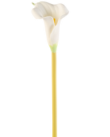 Die künstliche Calla-Blume 64 cm in Creme ist eine einzelne künstliche weiße Calla-Lilie mit einem langen gelben Stiel vor einem schlichten weißen Hintergrund.