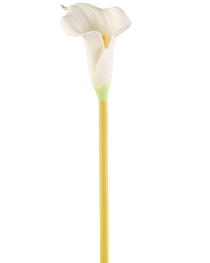 Die künstliche Calla-Blume 64 cm in Creme ist eine einzelne künstliche weiße Calla-Lilie mit einem langen gelben Stiel vor einem schlichten weißen Hintergrund.