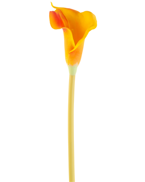Die künstliche Blumen-Calla 64 cm orange besteht aus einer einzelnen orangefarbenen Calla-Lilie mit einem langen, schlanken Stiel, isoliert auf einem weißen Hintergrund.