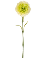 Die künstliche Blumennelke 57 cm hellgrün ist eine künstliche hellgrüne Nelke mit Rüschen in den Blütenblättern und einem langen Stiel, dargestellt vor einem schlichten weißen Hintergrund.