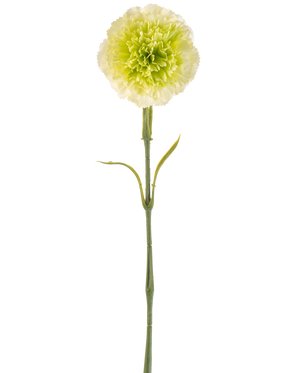 Die künstliche Blumennelke 57 cm hellgrün ist eine künstliche hellgrüne Nelke mit Rüschen in den Blütenblättern und einem langen Stiel, dargestellt vor einem schlichten weißen Hintergrund.