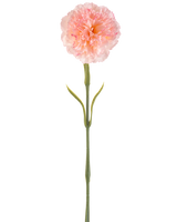 Kunstblume Nelke 57 cm errötend: Eine einzelne künstliche hellrosa Nelke mit gefalteten Blütenblättern an einem langen grünen Stiel und zwei Paaren schlanker Blätter, dargestellt vor einem weißen Hintergrund.