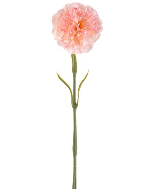 Kunstblume Nelke 57 cm errötend: Eine einzelne künstliche hellrosa Nelke mit gefalteten Blütenblättern an einem langen grünen Stiel und zwei Paaren schlanker Blätter, dargestellt vor einem weißen Hintergrund.