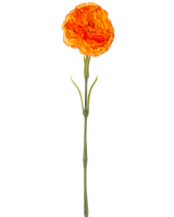 Die künstliche Blumennelke 57 cm orange ist eine künstliche orangefarbene Nelke mit Rüschen in den Blütenblättern und einem langen grünen Stiel, isoliert auf weißem Hintergrund.