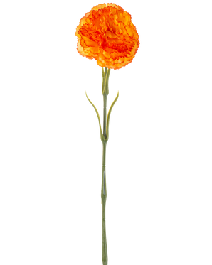 Die künstliche Blumennelke 57 cm orange ist eine künstliche orangefarbene Nelke mit Rüschen in den Blütenblättern und einem langen grünen Stiel, isoliert auf weißem Hintergrund.