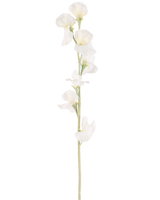 Eine einzelne cremefarbene künstliche Blumenerbse (64 cm) hat mehrere zarte cremeweiße Blüten auf hellgrünen Stielen vor einem schlichten weißen Hintergrund.