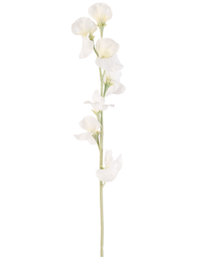 Eine einzelne cremefarbene künstliche Blumenerbse (64 cm) hat mehrere zarte cremeweiße Blüten auf hellgrünen Stielen vor einem schlichten weißen Hintergrund.