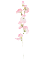 Eine einzelne künstliche Erbsenblume, 64 cm hoch, mit hellrosa Blütenblättern und einem hellgrünen Stiel, isoliert auf weißem Hintergrund.