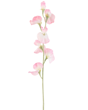 Eine einzelne künstliche Erbsenblume, 64 cm hoch, mit hellrosa Blütenblättern und einem hellgrünen Stiel, isoliert auf weißem Hintergrund.