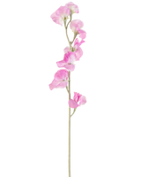 Eine einzelne rosafarbene künstliche Blumenerbse (64 cm) hat zarte, gerüschte rosa Blütenblätter und einen hellgrünen Stiel vor einem schlichten weißen Hintergrund.