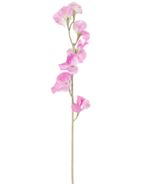 Eine einzelne rosafarbene künstliche Blumenerbse (64 cm) hat zarte, gerüschte rosa Blütenblätter und einen hellgrünen Stiel vor einem schlichten weißen Hintergrund.
