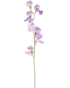 Eine einzelne künstliche Blumenerbse 64 cm lila mit zarten hellvioletten Blütenblättern und grünen Blättern, isoliert auf weißem Hintergrund.
