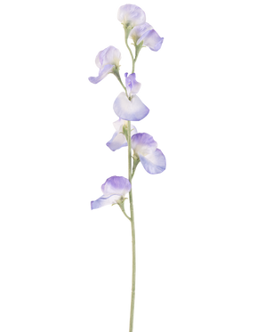 Eine einzelne künstliche Erbsenblume, 64 cm lang, Lavendel, mit mehreren zarten hellvioletten Blüten und grünen Stielen, isoliert auf weißem Hintergrund.