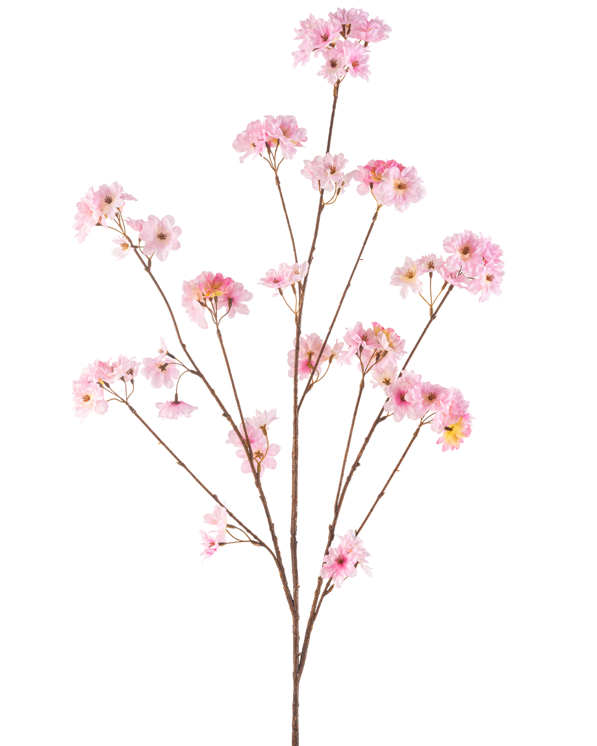 Die künstliche Kirschblüte 130 cm rosa hat einen einzelnen braunen Stiel, der sich in Büschel zartrosa Kirschblüten verzweigt, die sich wunderschön vor einem schlichten weißen Hintergrund abheben.