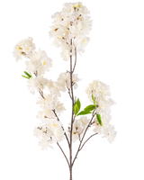 Eine künstliche Kirschblütenblume, cremefarben, 119 cm, mit Büscheln zarter weißer Blüten und ein paar hellgrünen Blättern auf schlanken braunen Stielen, isoliert auf weißem Hintergrund.