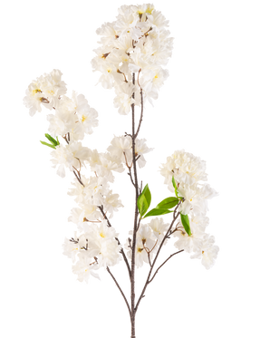 Eine künstliche Kirschblütenblume, cremefarben, 119 cm, mit Büscheln zarter weißer Blüten und ein paar hellgrünen Blättern auf schlanken braunen Stielen, isoliert auf weißem Hintergrund.
