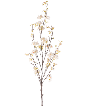 Die cremefarbene Kunstblume Kirschblüte 150 cm hat einen hohen Zweig mit mehreren dünnen Stielen, kleinen weißen Kirschblütenblüten und verstreuten grünen Blättern, alles vor einem schlichten weißen Hintergrund.
