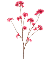 Die künstliche Blume Kirschblüte 114 cm in Fuchsia zeigt einen einzelnen braunen Zweig mit mehreren Stielen, jeder mit Büscheln leuchtend fuchsiafarbener künstlicher Weihnachtsblüten vor einem schlichten weißen Hintergrund.