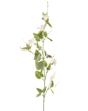Die künstliche Blumenwinde 122 cm weiß hat einen einzelnen Stiel mit kleinen weißen Blüten, grünen Blättern und gekräuselten Ranken vor einem schlichten weißen Hintergrund.
