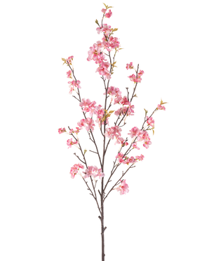 Die künstliche Kirschblüte 150 cm rosa hat einen einzelnen braunen Zweig mit mehreren dünnen Stielen, verziert mit Büscheln zartrosa Kirschblüten und einigen grünen Blättern, isoliert auf weißem Hintergrund.