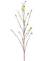 Der künstliche Zweig Winterzoet 107 cm grün besteht aus einem einzelnen kahlen Zweig mit dünnen Zweigen und kleinen grünen Blättern an den Enden vor einem schlichten weißen Hintergrund.