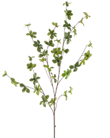 Die Kunstblume Enkianthus 119 cm grün hat einen einzelnen, schlanken Zweig mit mehreren Ablegern und kleinen, leuchtend grünen Blättern, isoliert auf weißem Hintergrund.