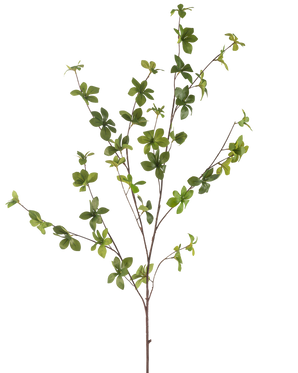 Die Kunstblume Enkianthus 119 cm grün hat einen einzelnen, schlanken Zweig mit mehreren Ablegern und kleinen, leuchtend grünen Blättern, isoliert auf weißem Hintergrund.