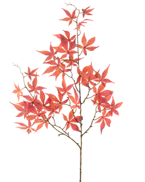 Die künstliche Blume Ahornblatt 109 cm rot hat mehrere dünne Zweige, die mit leuchtend roten, sternförmigen Ahornblättern verziert sind und sich wunderschön vor einem schlichten weißen Hintergrund abheben.