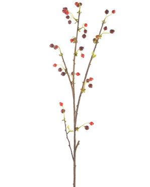 Die künstliche Hagebuttenblume 112 cm rot hat einen einzelnen braunen Zweig mit kleinen roten und dunkelvioletten Beeren und ein paar hellgrünen Blättern vor einem schlichten weißen Hintergrund.