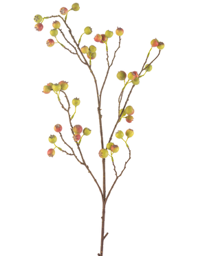 Die Kunstblume Weißdornbeere 104 cm grün/rot hat einen schlanken braunen Stiel mit mehreren Zweigen, die jeweils mit Büscheln kleiner grüner und roter Beeren vor einem weißen Hintergrund verziert sind.