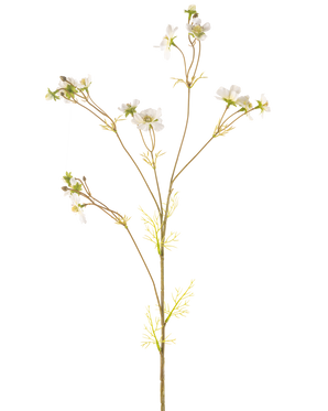 Die cremefarbene Kunstblume Cosmos 95 cm ist eine hohe, zarte Kunstpflanze mit dünnen Stielen, kleinen grünen Blättern und Büscheln kleiner weißer Blüten mit einem gelben Herzen, dargestellt vor einem schlichten weißen Hintergrund.