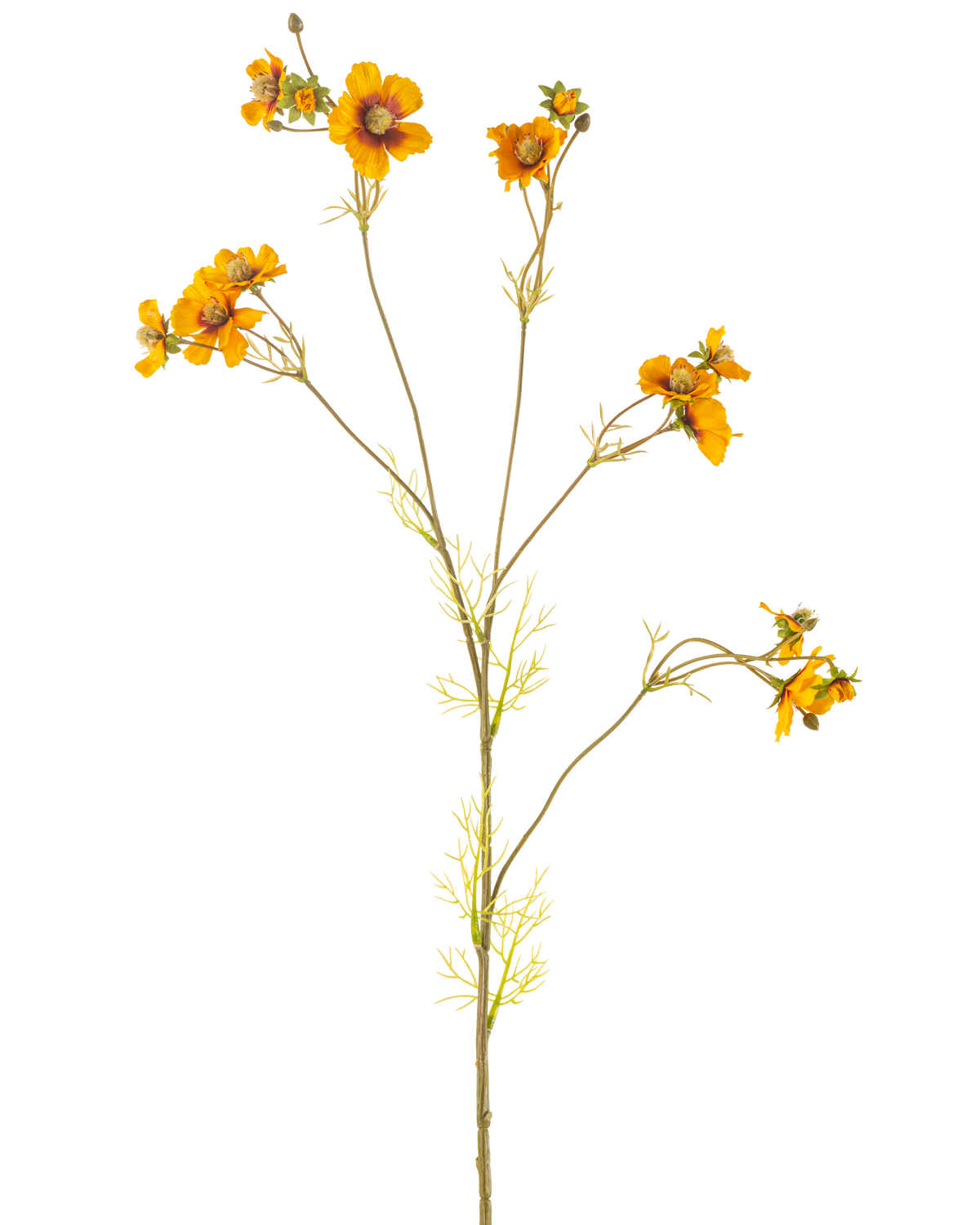 Der künstliche Blumenkörbchen 95 cm gelb hat einen einzelnen hohen Stiel mit dünnen Zweigen, die jeweils mit Büscheln leuchtend orange-gelber Blüten und zartgrünen Blättern vor einem schlichten weißen Hintergrund verziert sind.
