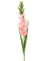 Die künstliche Gladiole 93 cm rosa hat einen einzelnen Stiel mit mehreren zartrosa Blüten und langen grünen Blättern, dargestellt vor einem weißen Hintergrund.