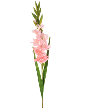 Die künstliche Gladiole 93 cm rosa hat einen einzelnen Stiel mit mehreren zartrosa Blüten und langen grünen Blättern, dargestellt vor einem weißen Hintergrund.