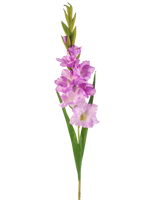 Die künstliche Gladiolenblume 93 cm lila ist ein künstlicher Gladiolenstiel mit hellvioletten und rosa Blüten, grünen Blättern und Knospen vor einem weißen Hintergrund.
