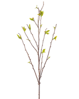 Die Kunstblume Winterzoet 81 cm grün ist ein künstlicher Zweig mit dünnen braunen Stielen und kleinen grünen Blättern auf weißem Hintergrund.